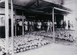 川西村農産物販売斡旋所とスイカ